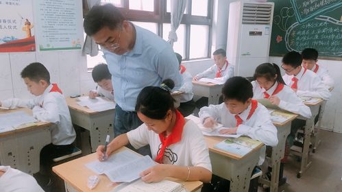 督導清風入校來，指導發展潤無聲——東臺創新小學迎雛陽投資與創新教育集團綜合督導記